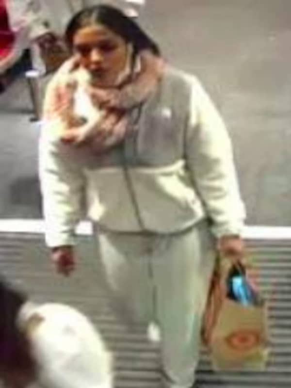 Woman Wanted For Stealing $445 From Suffolk County Target