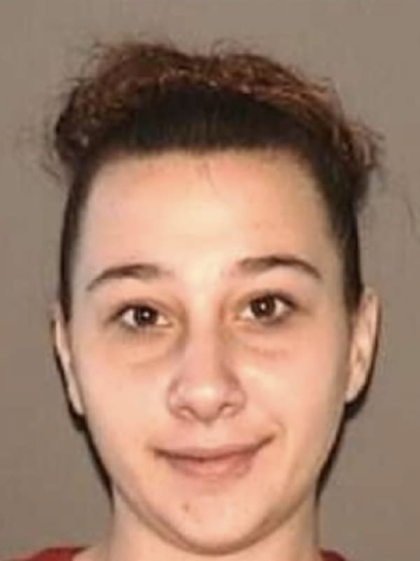 Woman Wanted For Stealing From Employer In Hyde Park, State Police Say