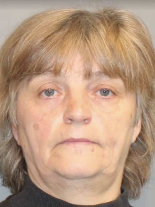 Woman Accused Of Throwing Dog Out Of Car Window In Fairfield County, Police Say