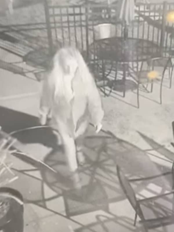 Police Seek ID Of Suspect In Larceny At Restaurant In Hampden County