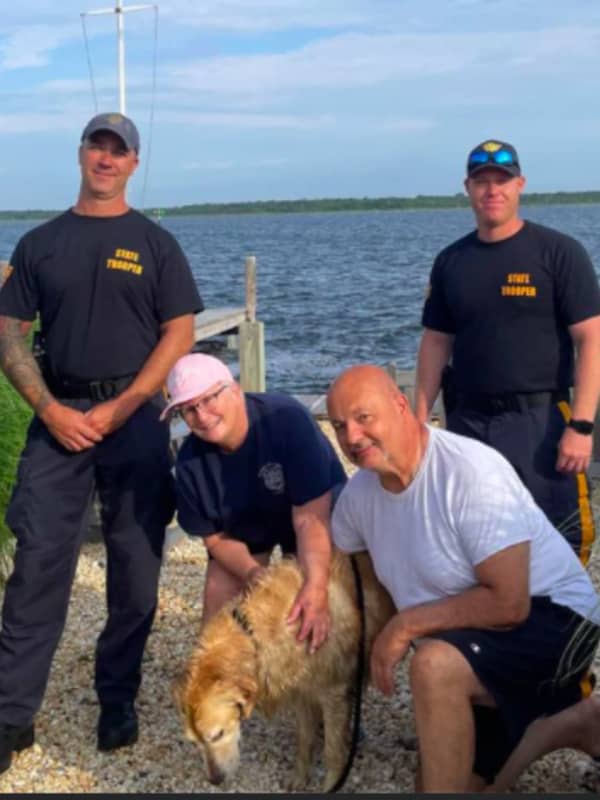 HEROES: State Troopers Rescue Missing Golden Retriever, 'Chunk', Swimming Off Jersey Shore