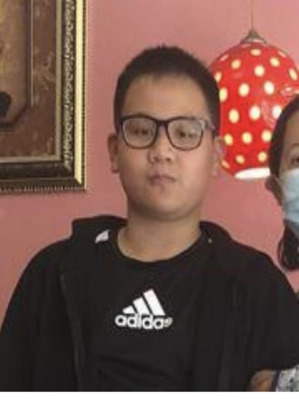 Seen Him? Alert Issued For Missing Area 11-Year-Old