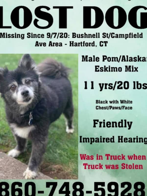 Truck With Dog Inside Stolen; Police Seek Public's Help Finding Pup, Vehicle