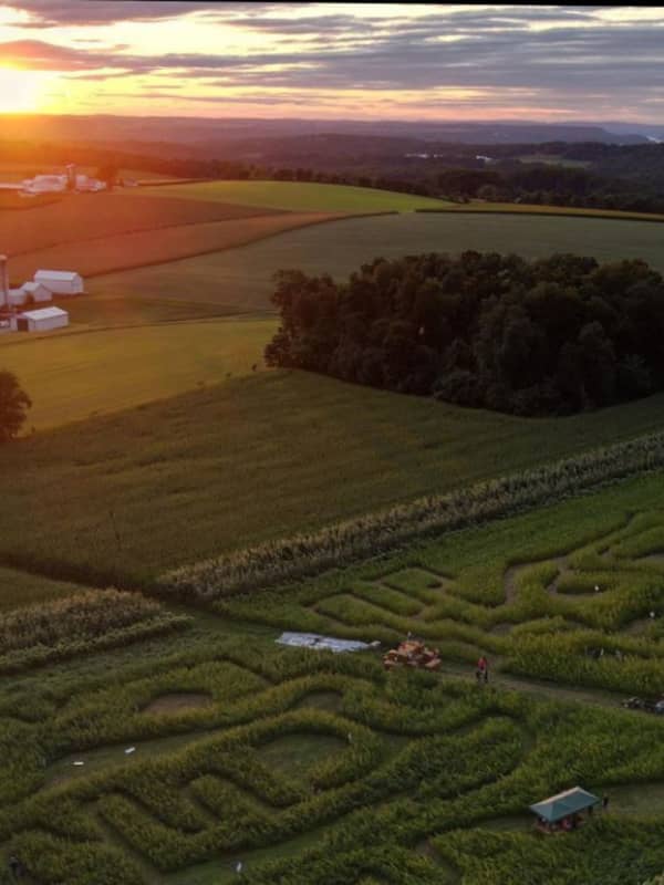 Pot Farm Opens Hemp Maze In Central Pennsylvania