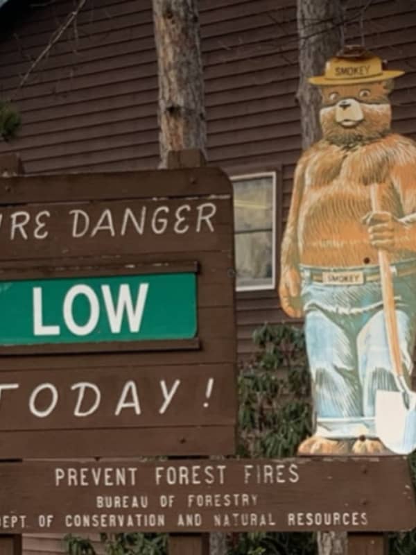 Smokey The Bear Stolen Off State Park Sign In PA