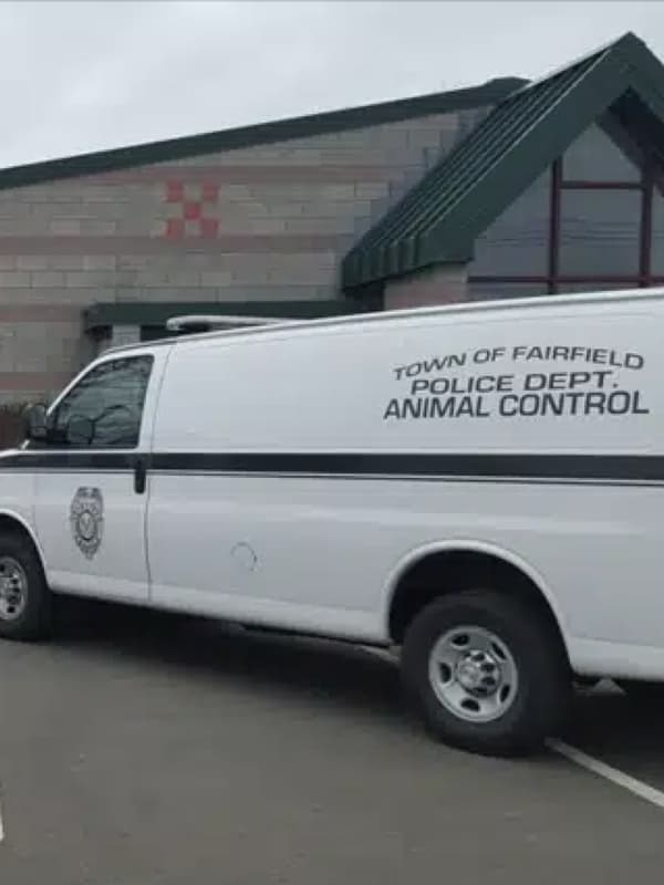 House Full Of Neglected Animals Deemed Unhabitable In Fairfield