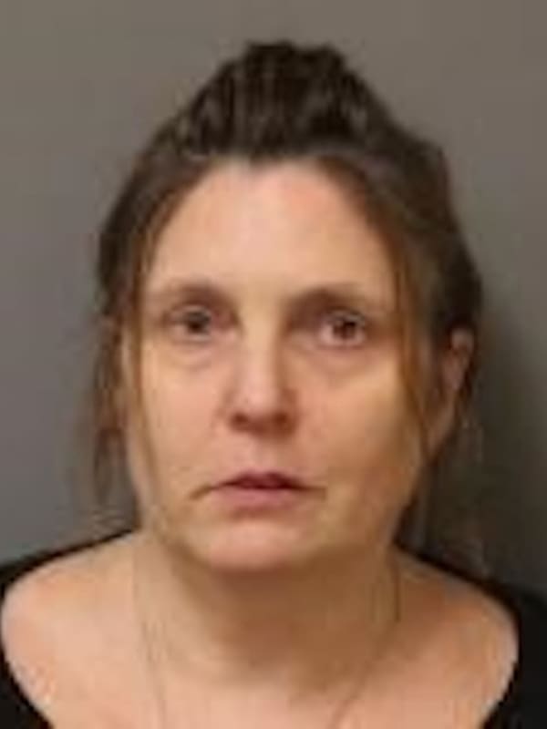 Woman Charged With $79K Grand Larceny In Hudson Valley