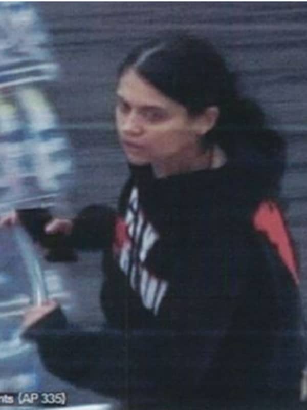 Authorities Searching For Woman Accused Of Stealing From Suffolk County Target