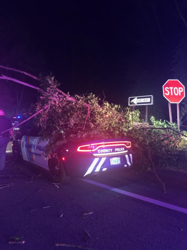 Officer Escapes Injury After Tree Falls On Cruiser Following 100 MPH Police Chase On Taconic