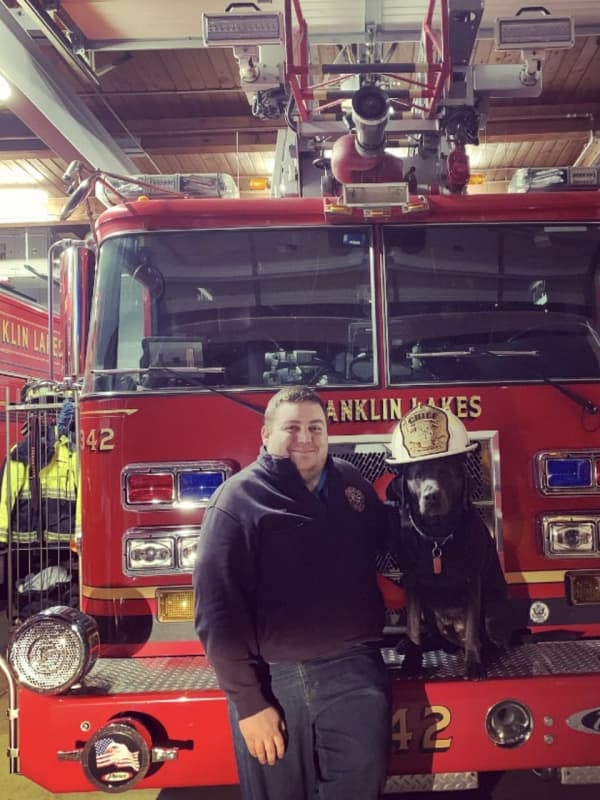 First ResPAWnders: Franklin Lakes Fire Chief's Charcoal Lab Is Firehouse Dog