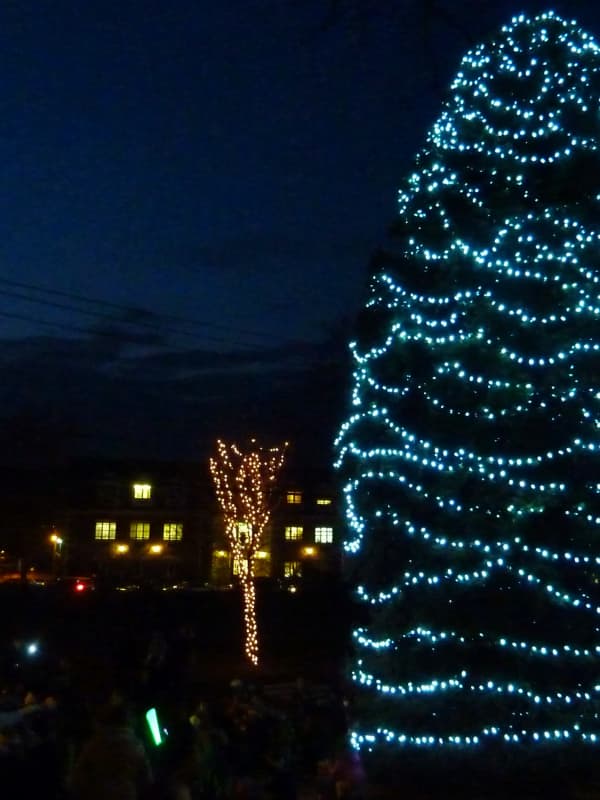 Westport Hosts Tree Lighting Friday
