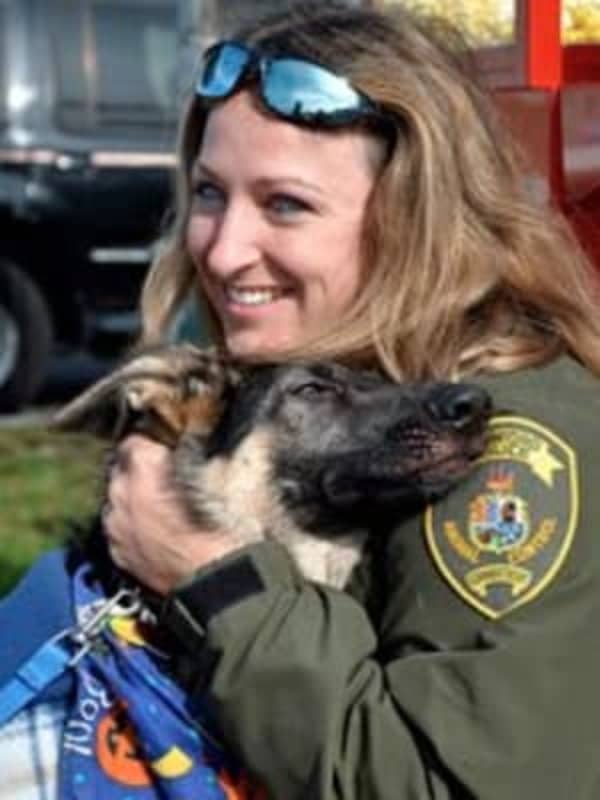 Ex-Animal Shelter Manager Avoids Prosecution In Stamford Dog-Biting Cases