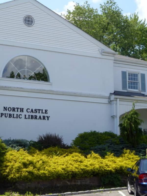 Summer Arts Series Opens At North Castle Public Library