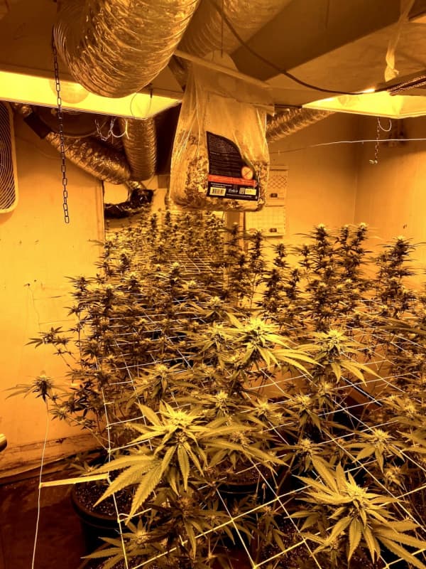 Hackensack Police Find Pot Grow House