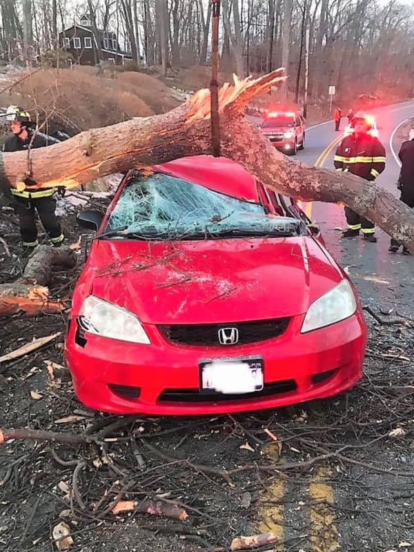 Photos: Tree Comes Down On Occupied Car In Mahopac