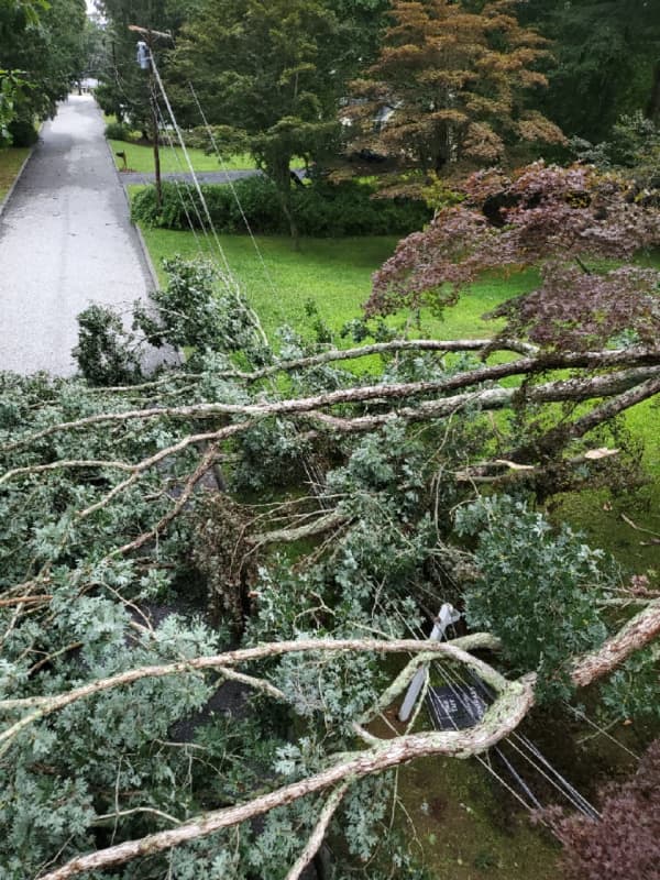 Communities Working With Eversource To Reduce Tree-Related Storm Damage