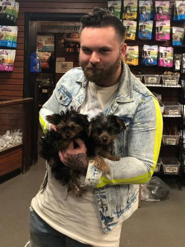 Man Accused Of Using Other Person's ID To Buy Puppies In Suffolk