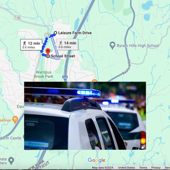 Nor'easter Person Killed After Tree Falls On Vehicle In Hudson Valley