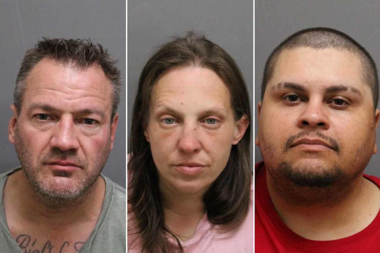 Grocery Shoplifting Ring Busted After Darien Stop & Shop Theft Police