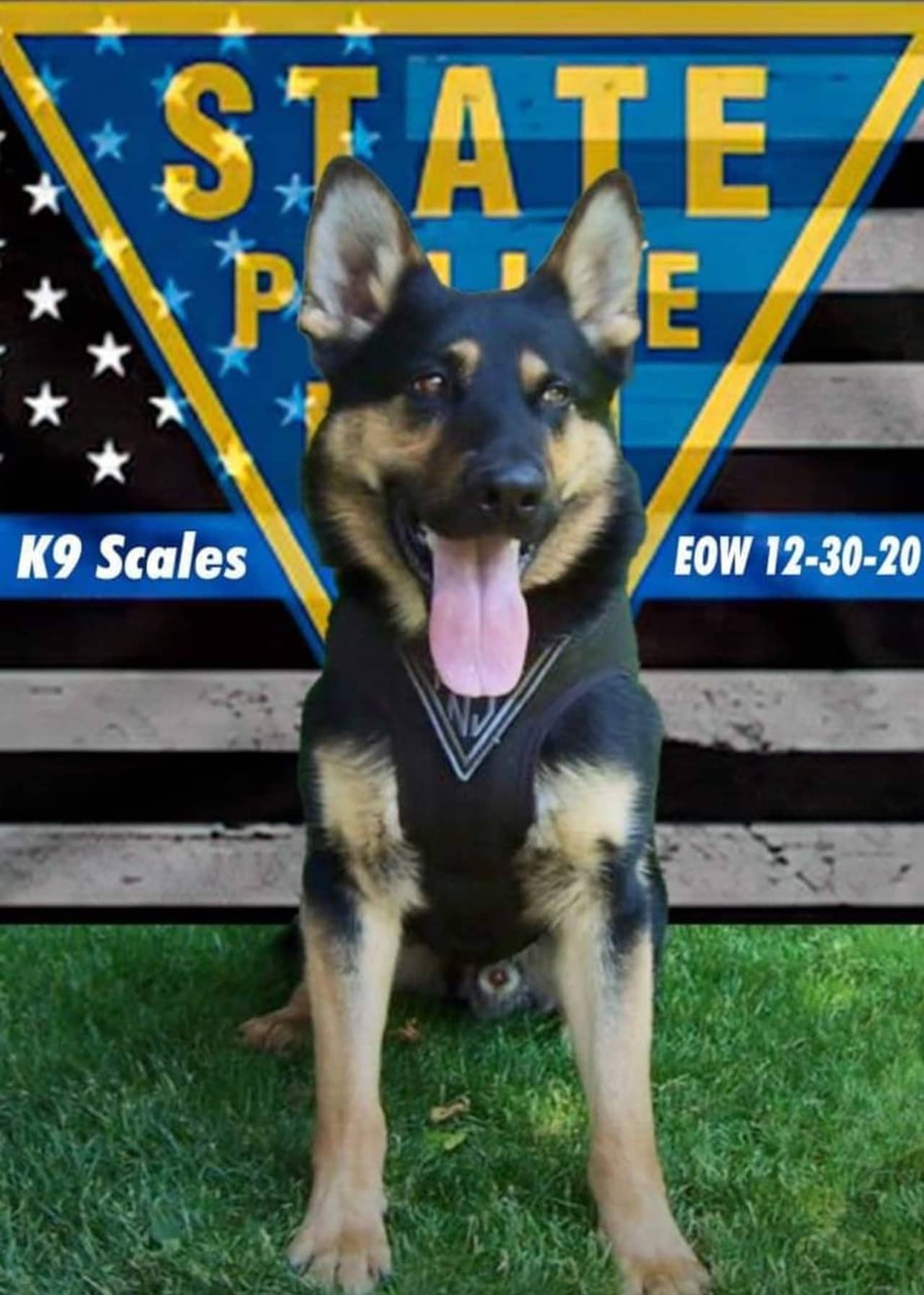 State Police are mourning the death of Scales, a K-9 officer known for his incredible ability to sniff out explosives in countless deployments across the state.