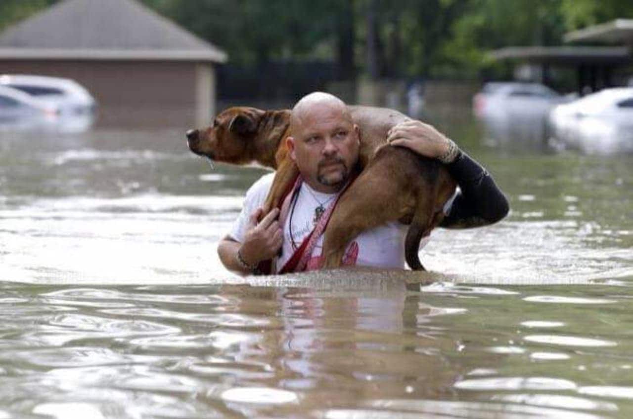 A rescuer carries a dog through floods in Louisiana.