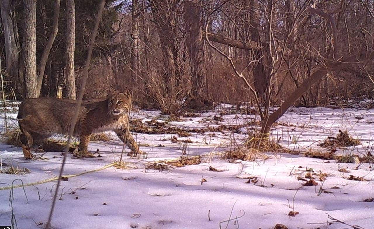 This photo was captured Saturday morning at 11:30 a.m. in the South Terrace vicinity of Fishkill.