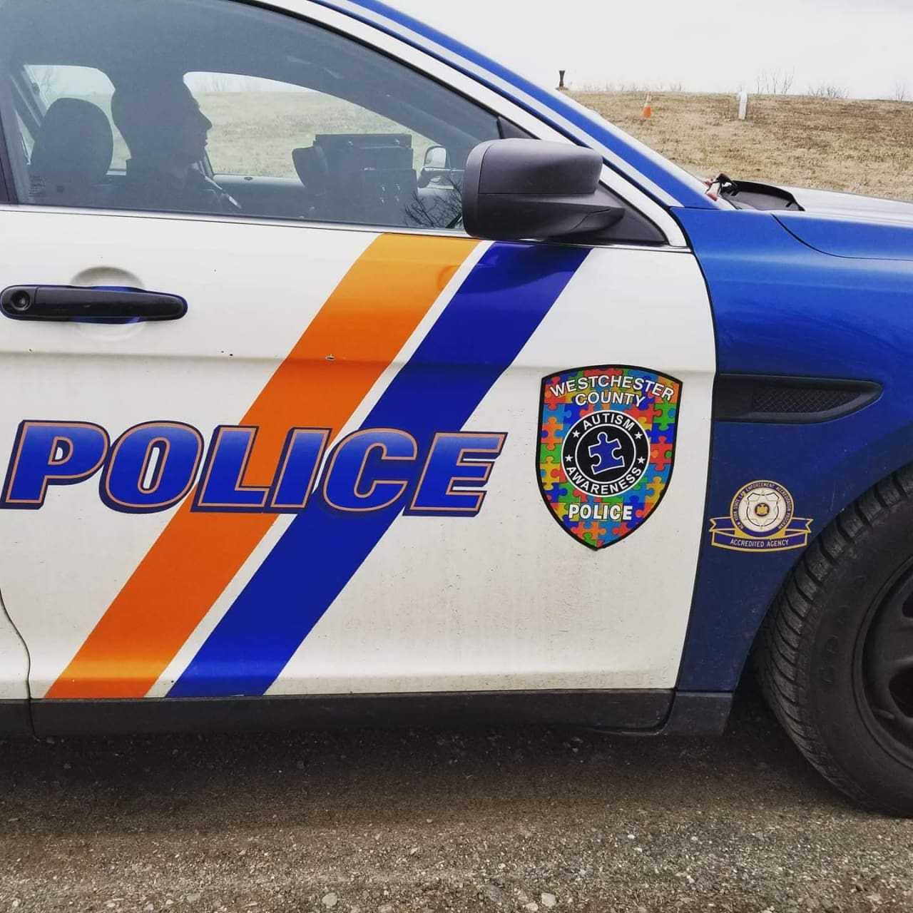 Westchester County Police nabbed a man allegedly driving a stolen vehicle after he crashed the vehicle.