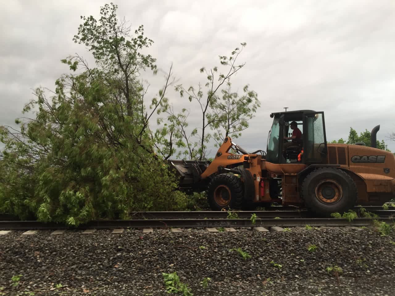 Metro-North crews worked overnight to remove more than 100 trees from tracks.