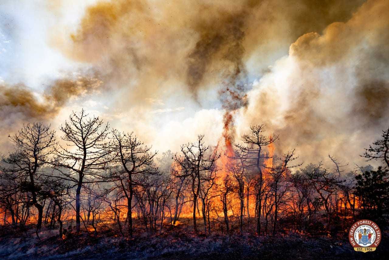 The Log Swamp Wildfire in Little Egg Harbor Township
