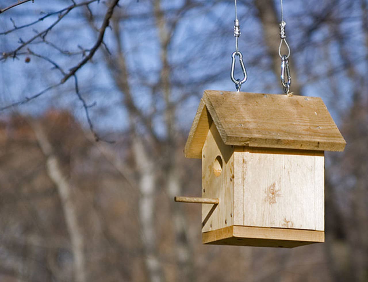 Build a birdhouse at the Demarest Train Station.