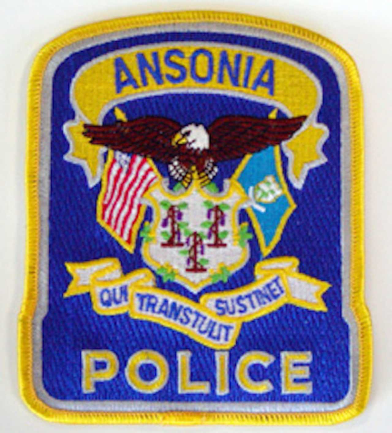 A Bridgeport man died Sunday as a result of injuries suffered Saturday in an accident.