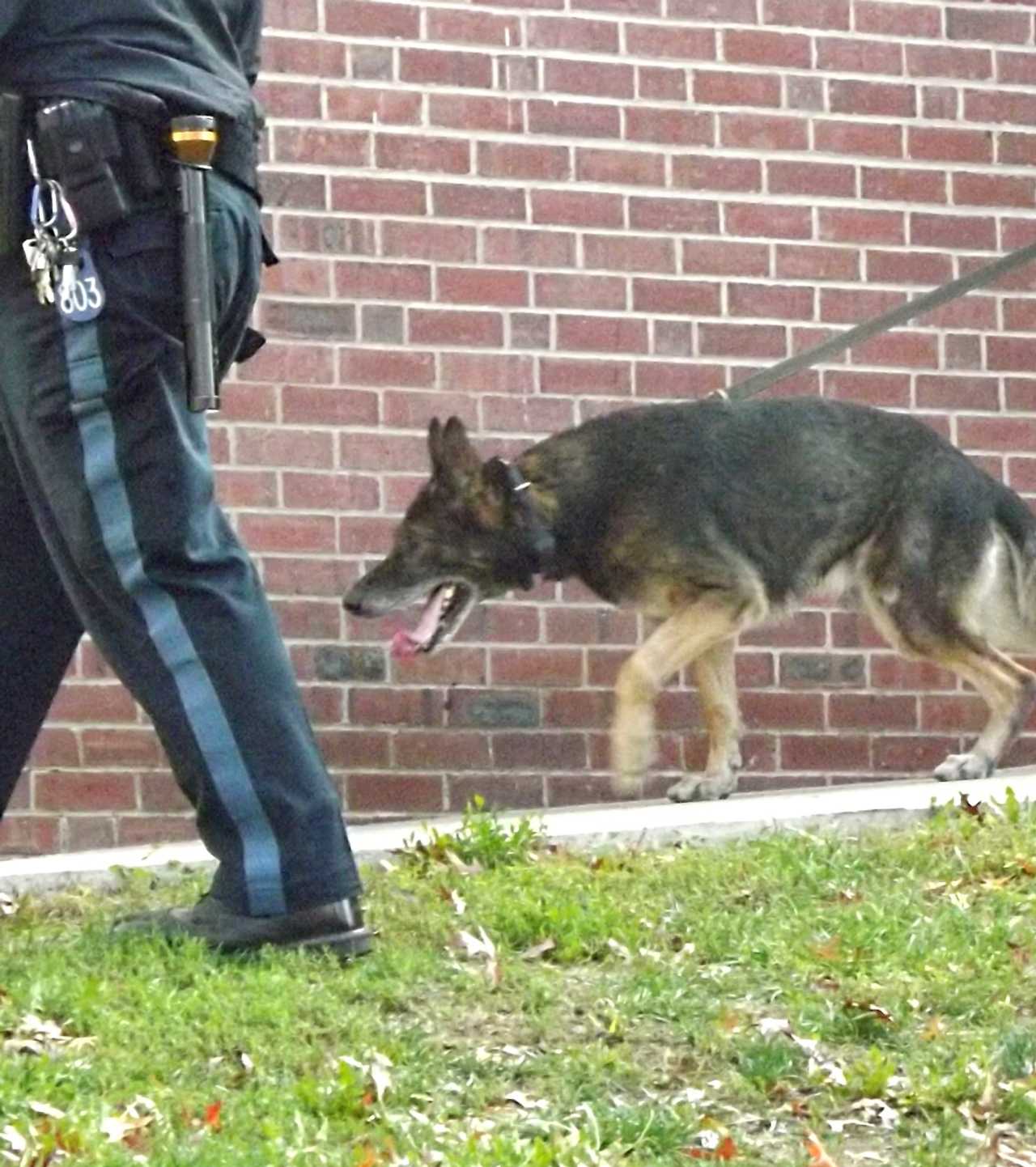 Bergen County Sheriff's K-9 units will be on roving patrol.