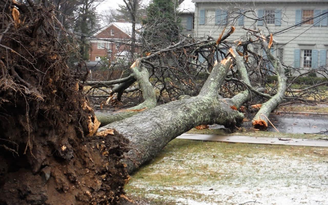 Tens of thousands of Dutchess County residents are without power as Central Hudson crews battle the aftermath of the Nor'easter.
