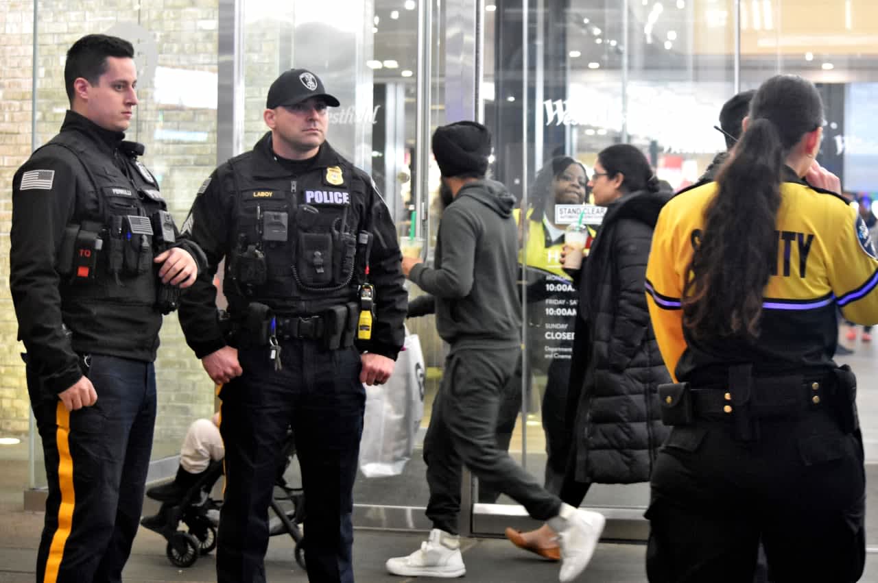Officers from surrounding towns and the Bergen County Sheriff's Office rushed to join their Paramus colleagues when a brawl reportedly broke out at the Garden State Plaza.