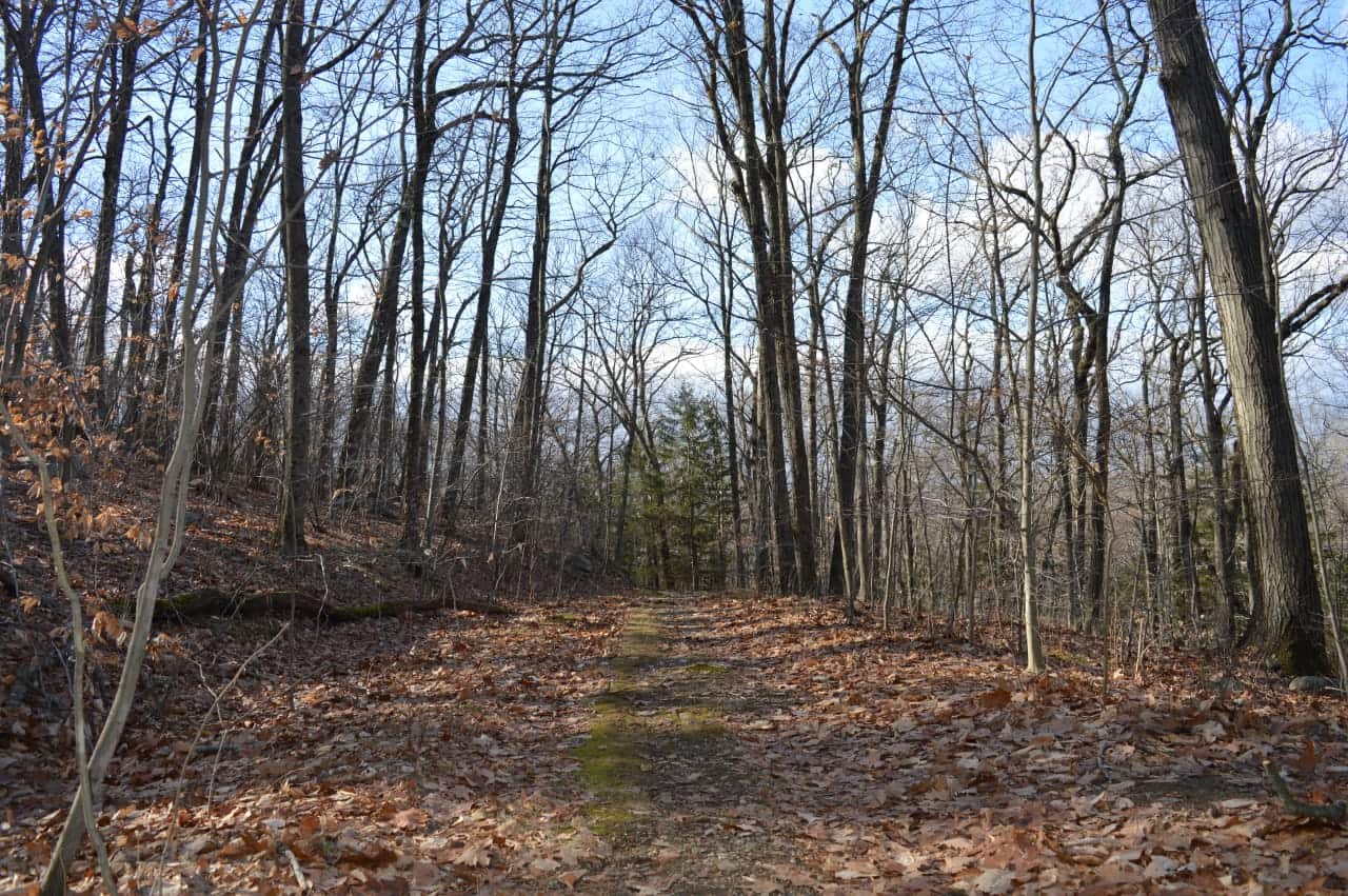 Hikers will hit the trails in Ringwood State Park on New Year's Day.