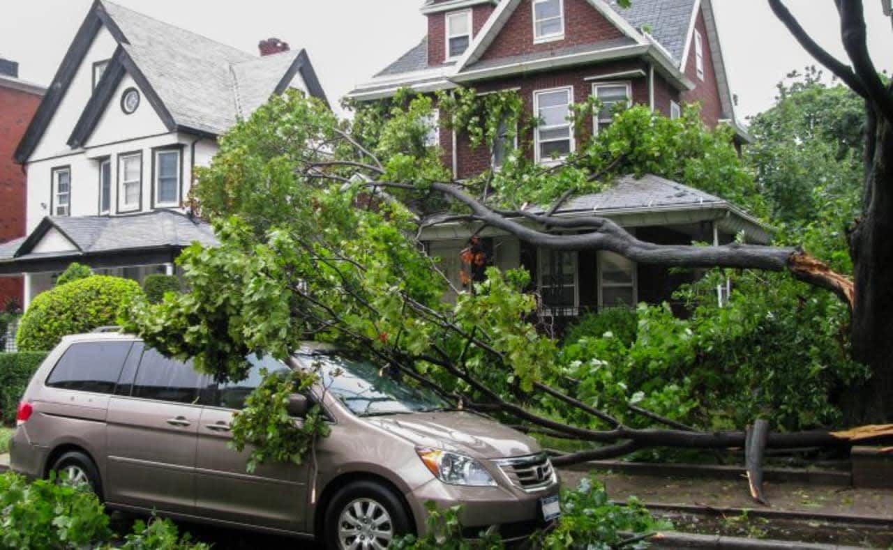 Advocate Brokerage offers information on how to handle damage done by trees.
