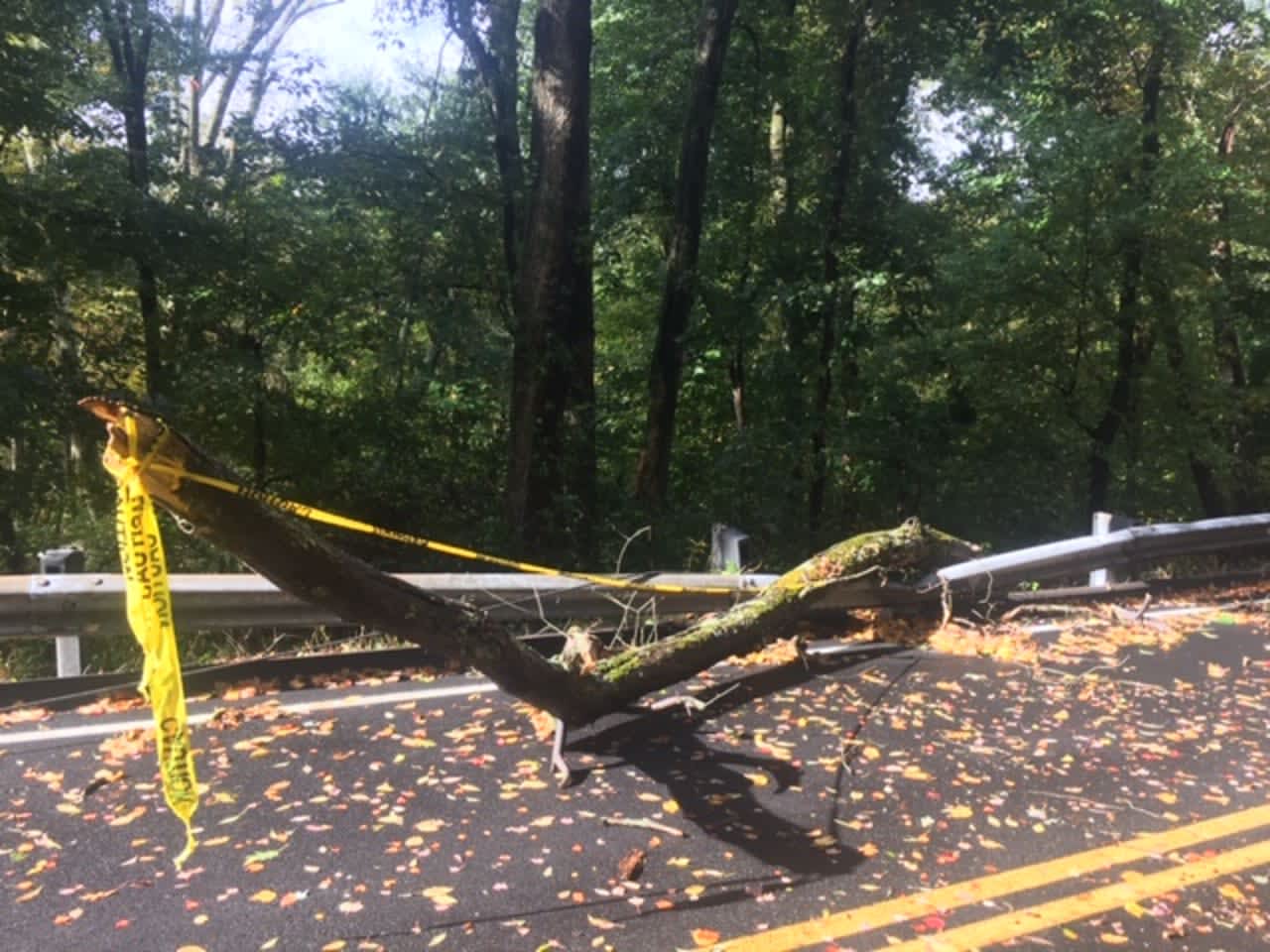Schools throughout Fairfield County are closed due to loss of power from powerful storms with strong wind gusts that moved through the area and new COVID-19 cases at other schools.