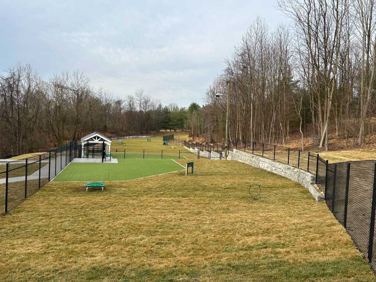 Take Your Dog Through An Agility Course At This Harford County Dog Park