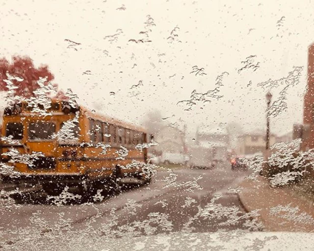 Many schools are closed following Thursday's storm.