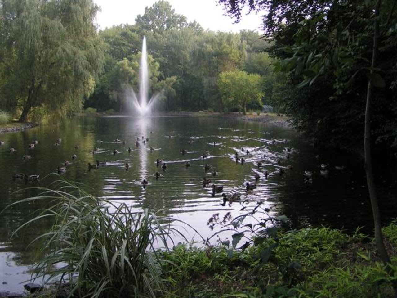 a view along the walk at Thielke Arboretum in Glen Rock