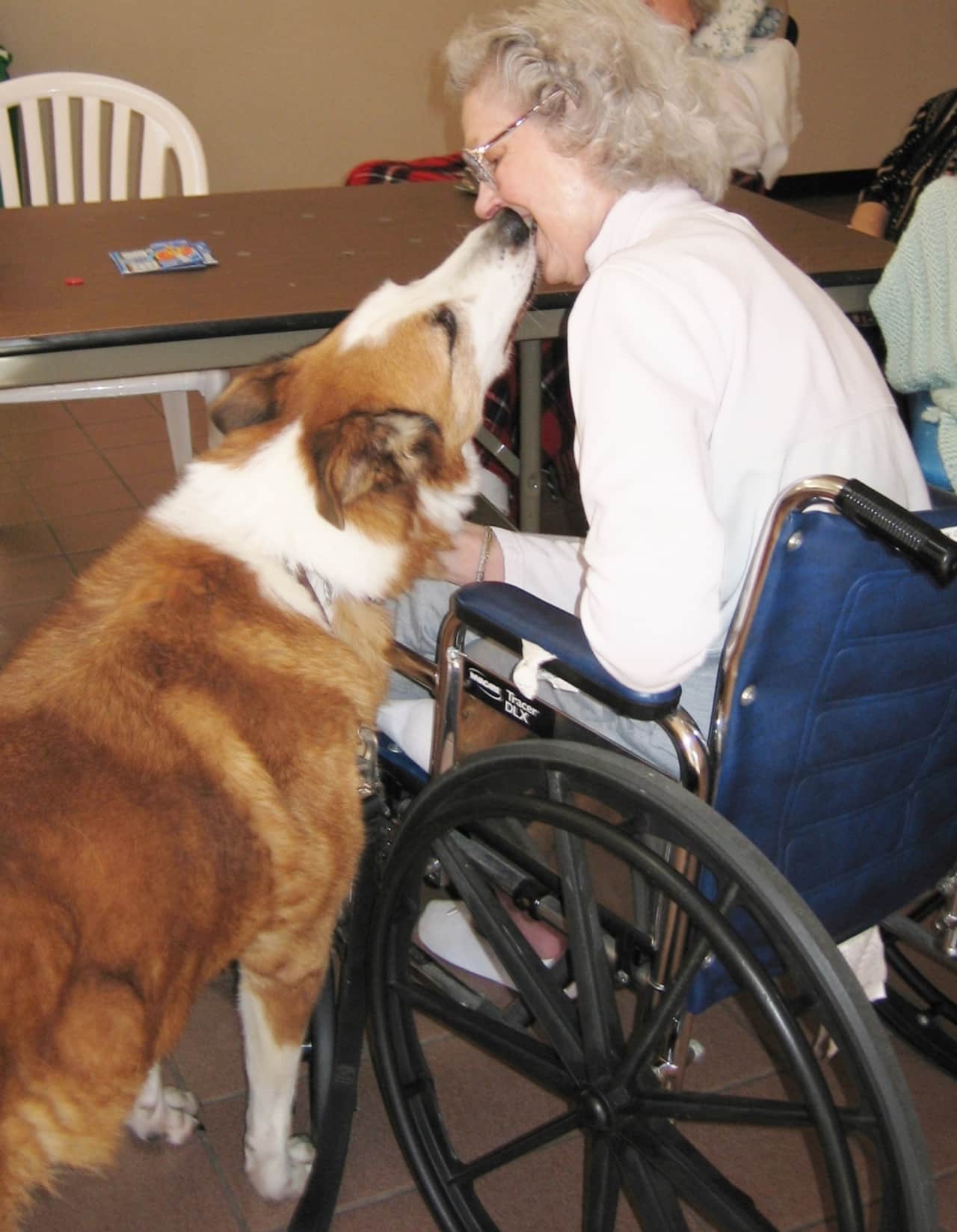 Golden Outreach is a pet visitation program based in Briarcliff Manor that utilizes animals to help people feel and get better. The program is actively seeking sponsors for individual dogs chosen as Outreach pets.
