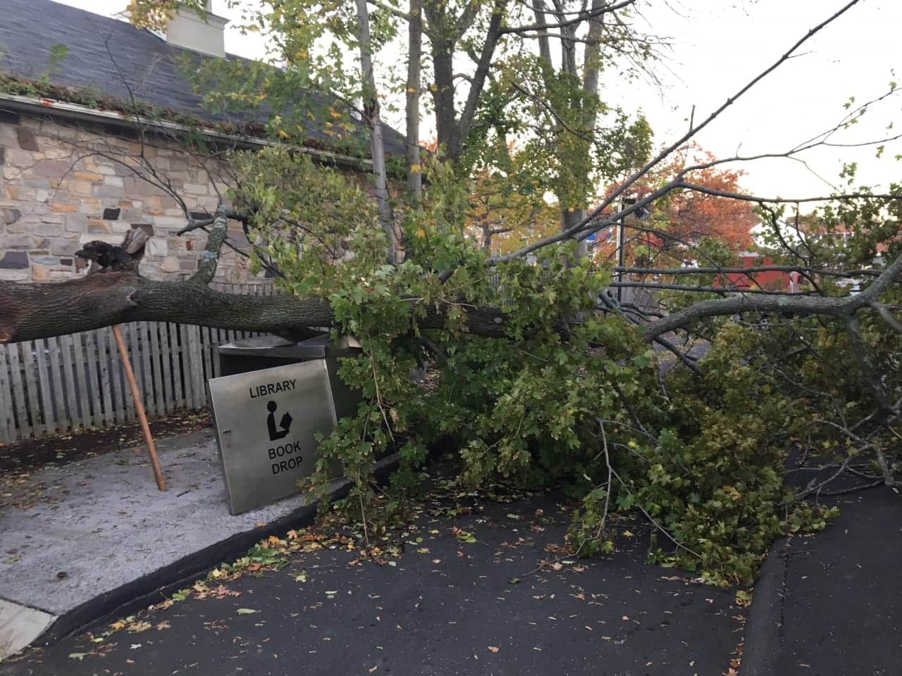 A downed tree blocks the book return at the New Canaan Library on Monday.