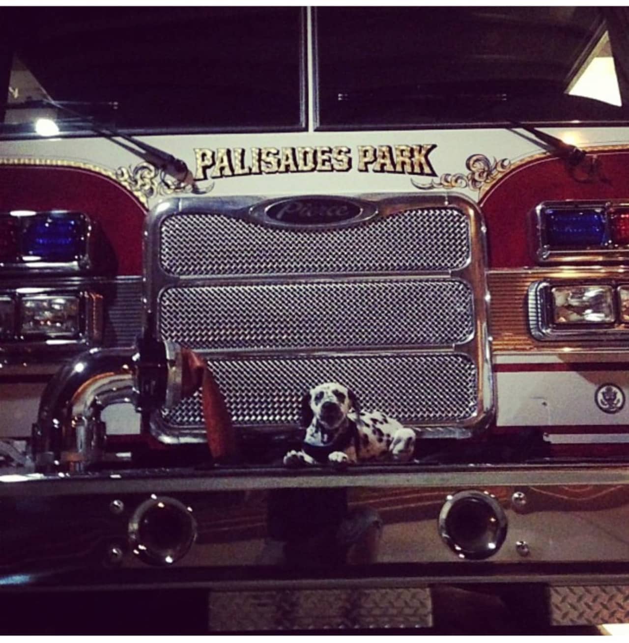 Sarge takes a break on a Palisades Park fire engine.