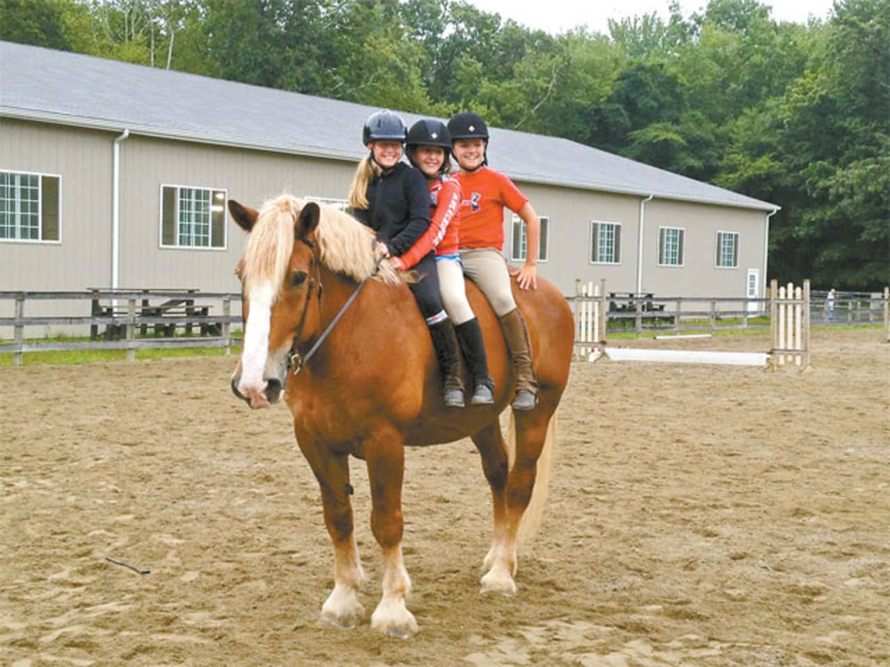 The New Canaan Mounted Troop