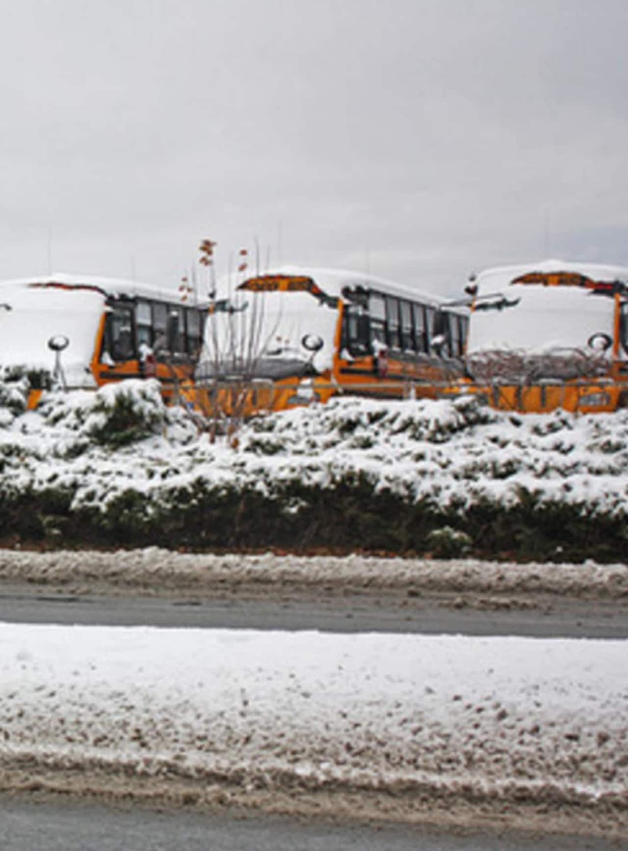 School buses in the snow.