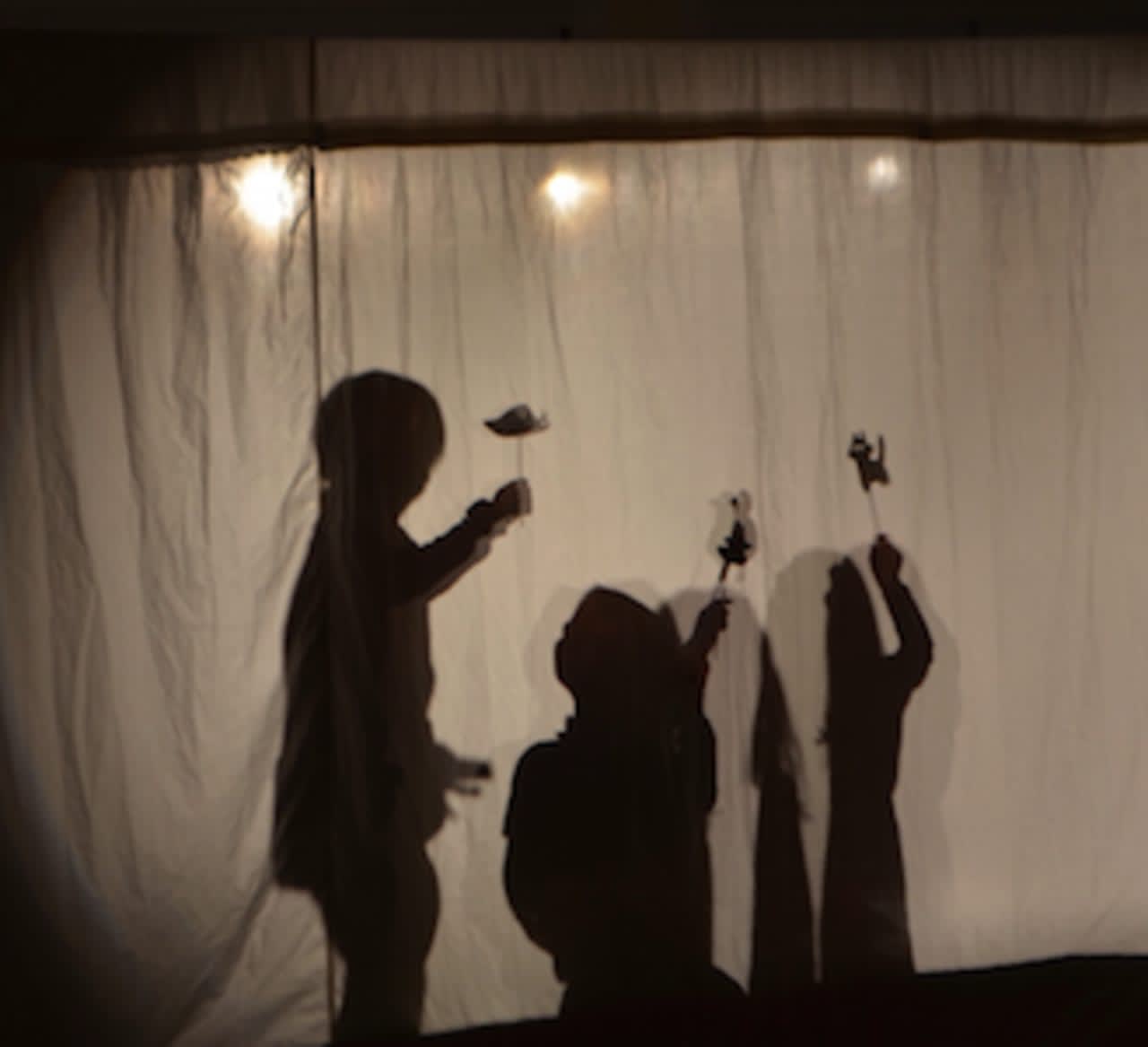 New Canaan Country School early learning students recently performed shadow puppet plays for their parents.