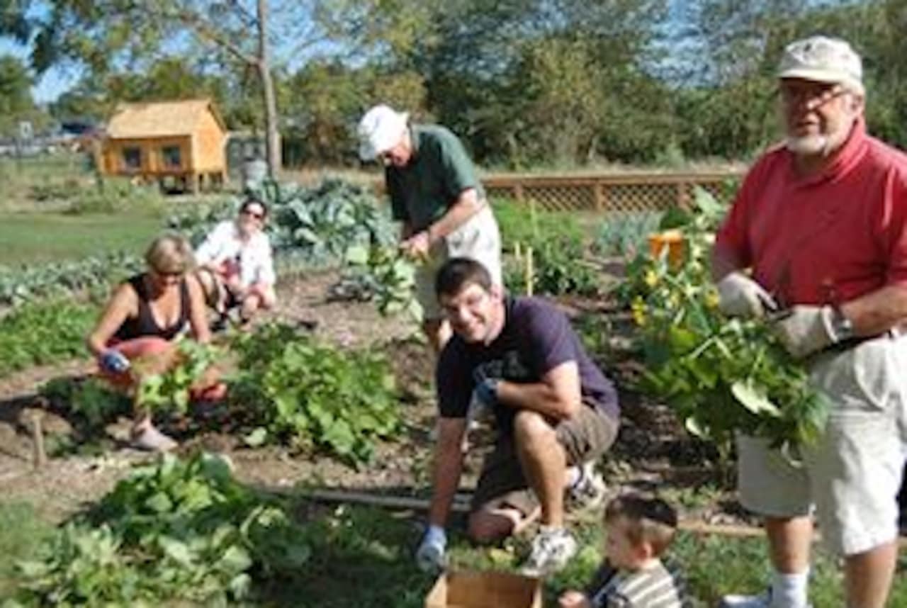 The topic of the workshop will be healthy eating from your garden.