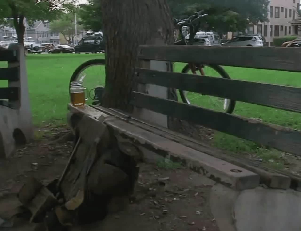 A bench at Mansion Square Park in Poughkeepsie near the tree that was hit Friday afternoon by a lightning strike that killed one man and injured four other people.