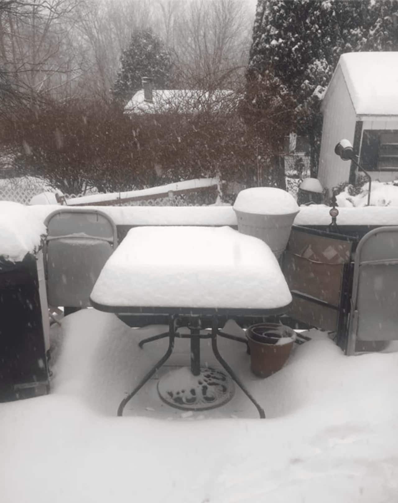 Tina Lynn of Dover Plains snapped this photo just before noon showing well over a half foot of snow accumulation.