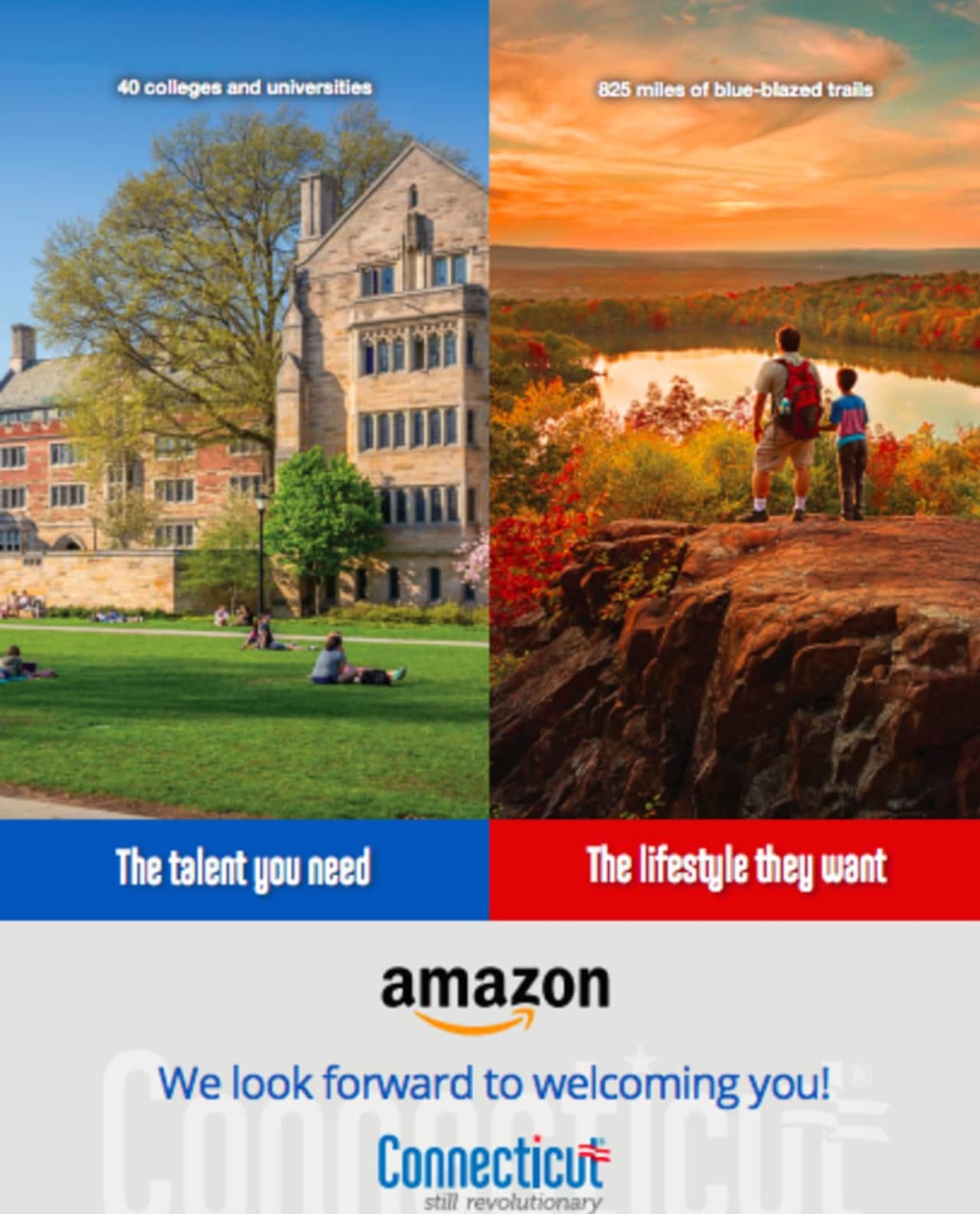 Connecticut has submitted its pitch to Amazon for its second headquarters.